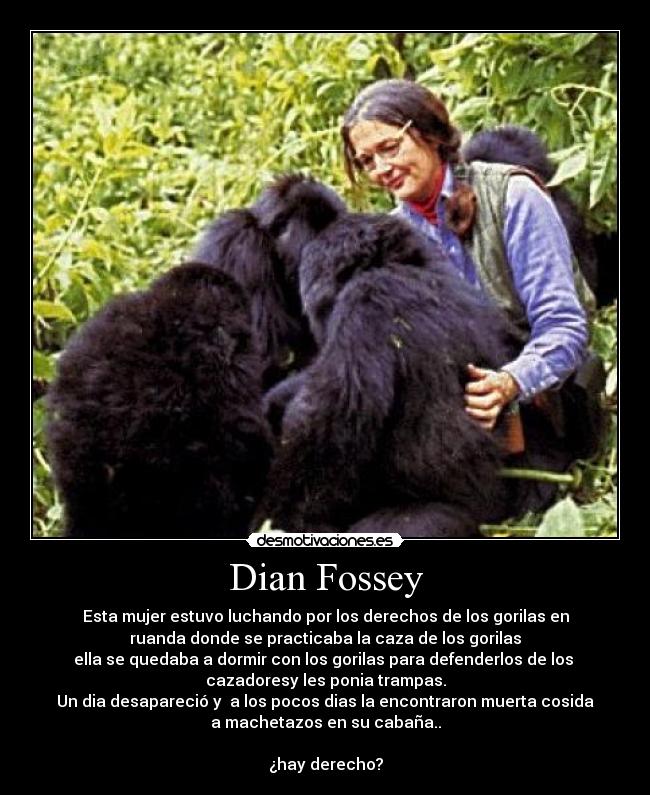 Dian Fossey - Esta mujer estuvo luchando por los derechos de los gorilas en
ruanda donde se practicaba la caza de los gorilas
ella se quedaba a dormir con los gorilas para defenderlos de los 
cazadoresy les ponia trampas.
Un dia desapareció y  a los pocos dias la encontraron muerta cosida
a machetazos en su cabaña..

¿hay derecho?