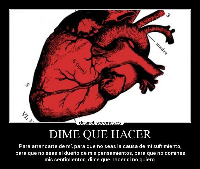 DIME QUE HACER - Para arrancarte de mí, para que no seas la causa de mi sufrimiento,
para que no seas el dueño de mis pensamientos, para que no domines
mis sentimientos, dime que hacer si no quiero.