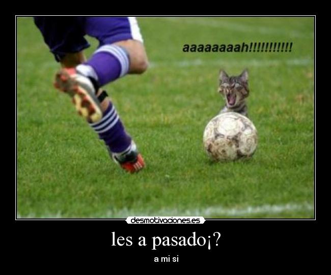 les a pasado¡? - a mi si