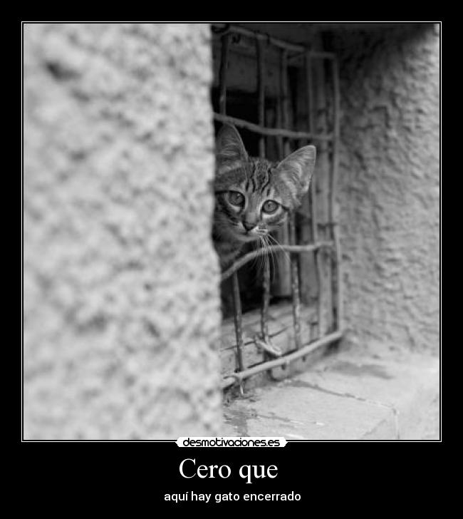 Cero que  - aquí hay gato encerrado