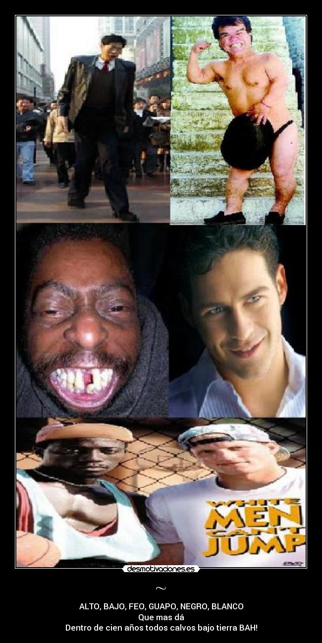 ~ - ALTO, BAJO, FEO, GUAPO, NEGRO, BLANCO
Que mas dá
Dentro de cien años todos calvos bajo tierra BAH!