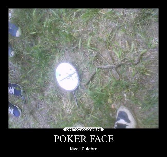 POKER FACE - Nivel: Culebra