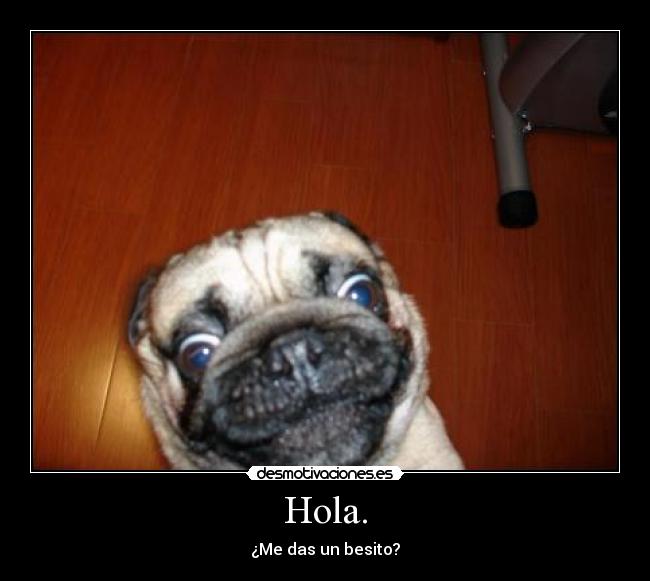 Hola. - 