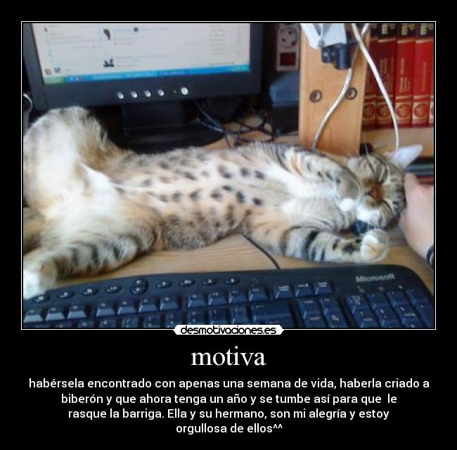 motiva - habérsela encontrado con apenas una semana de vida, haberla criado a
biberón y que ahora tenga un año y se tumbe así para que le
rasque la barriga. Ella y su hermano, son mi alegría y estoy
orgullosa de ellos^^