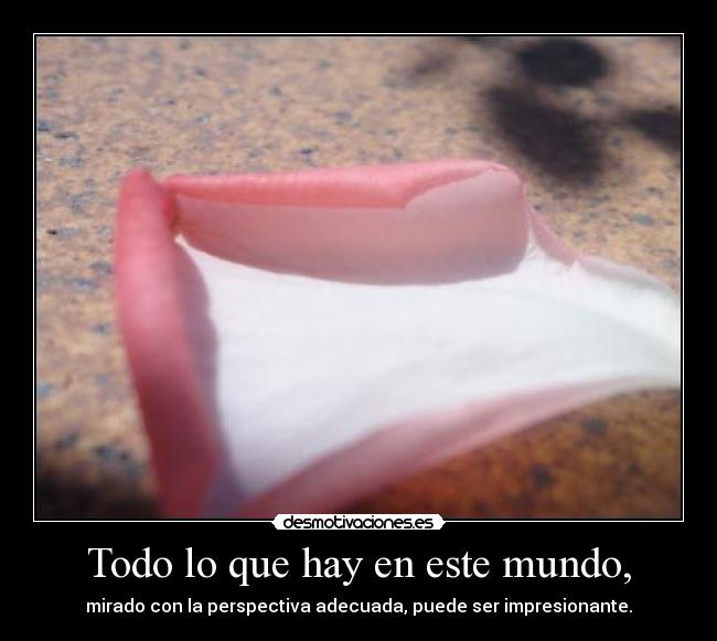 Todo lo que hay en este mundo, - mirado con la perspectiva adecuada, puede ser impresionante.