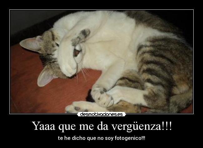 Yaaa que me da vergüenza!!! - te he dicho que no soy fotogenico!!!
