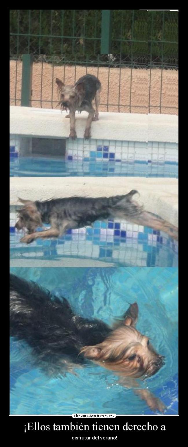 ¡Ellos también tienen derecho a -