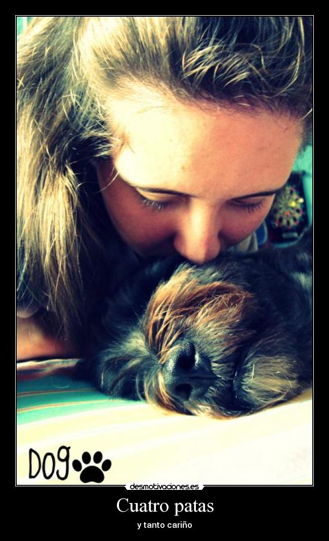 Cuatro patas - y tanto cariño