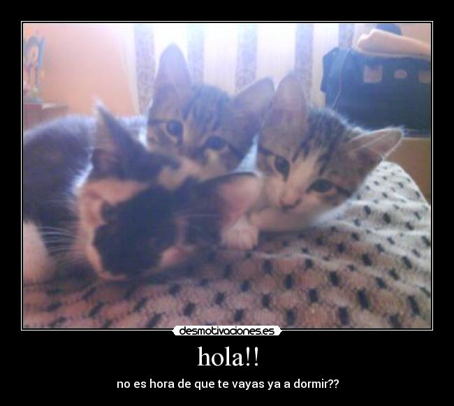 hola!! - no es hora de que te vayas ya a dormir??