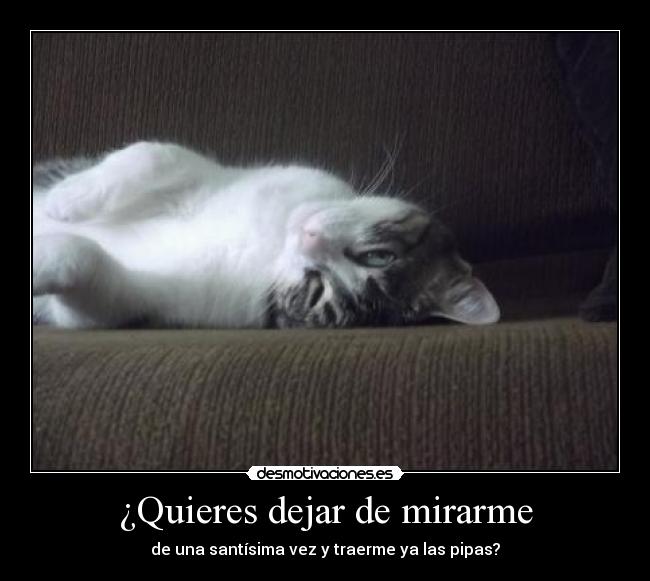 ¿Quieres dejar de mirarme - 