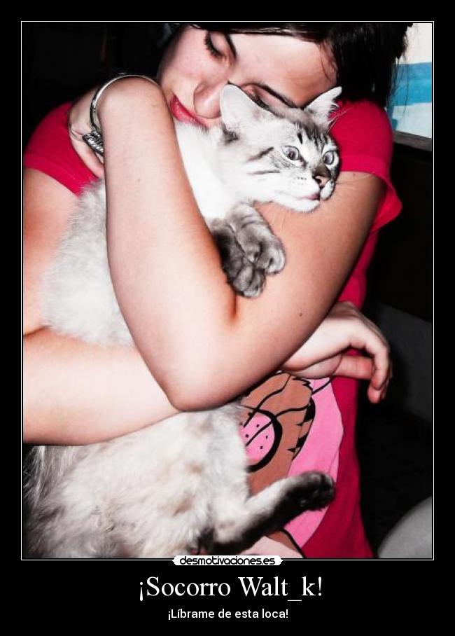¡Socorro Walt_k! - 