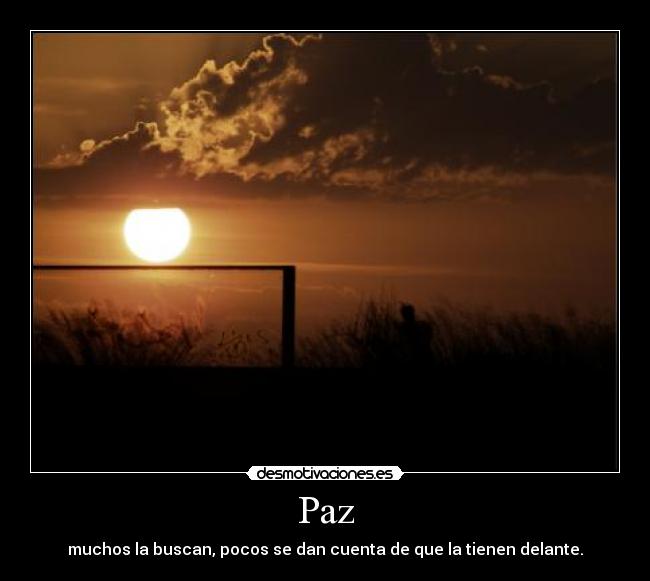 Paz - 