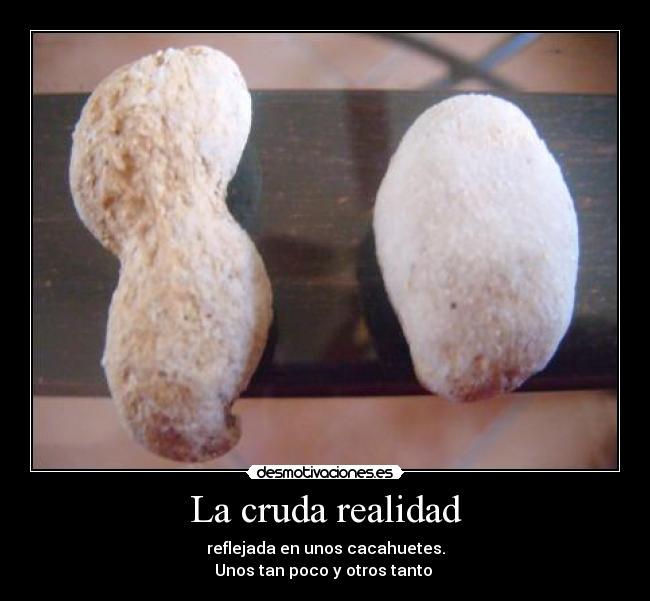 La cruda realidad - reflejada en unos cacahuetes.
Unos tan poco y otros tanto