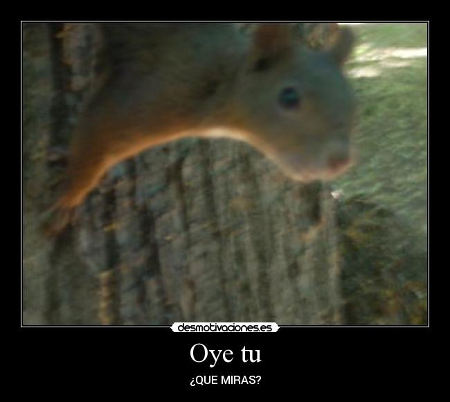 Oye tu - ¿QUE MIRAS?