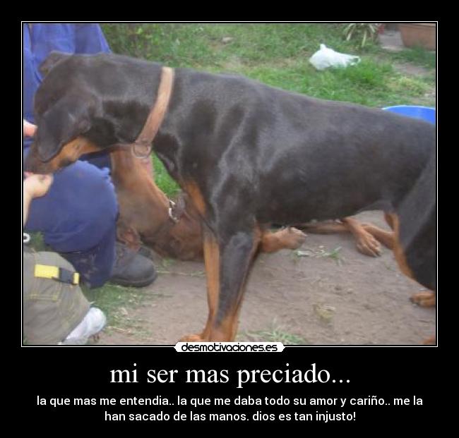 mi ser mas preciado... - la que mas me entendia.. la que me daba todo su amor y cariño.. me la
han sacado de las manos. dios es tan injusto!
