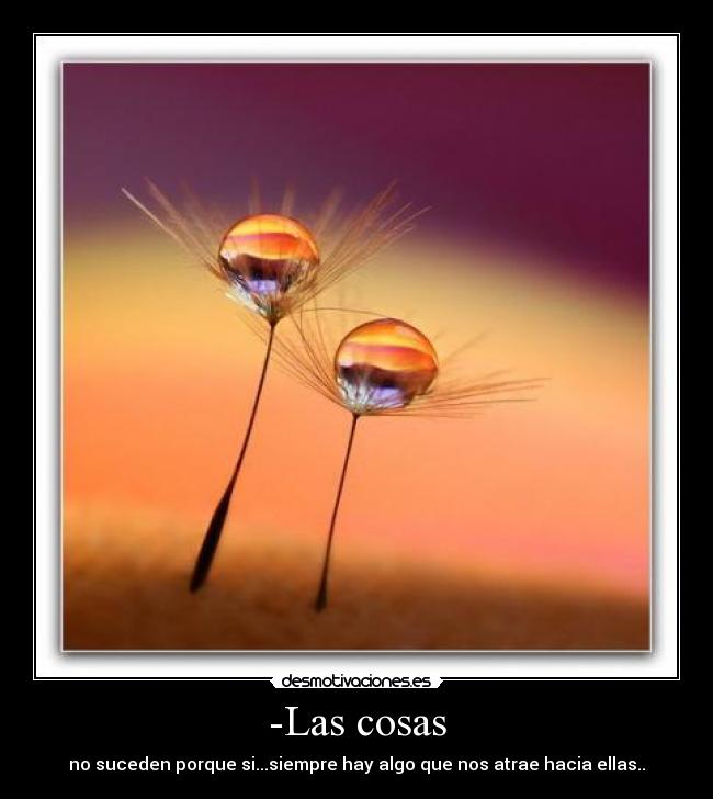 -Las cosas - 