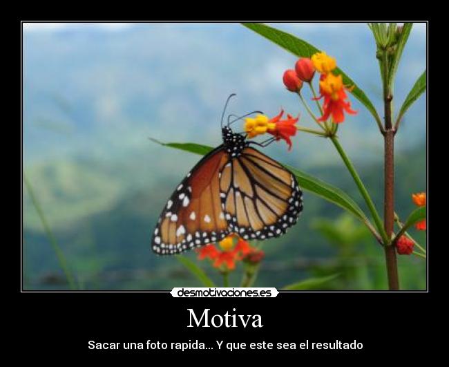 Motiva - Sacar una foto rapida... Y que este sea el resultado