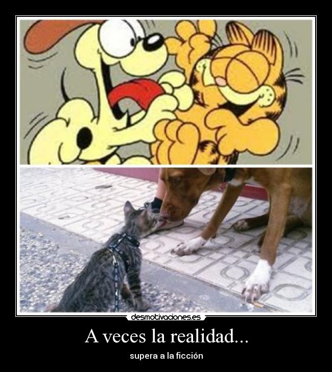 A veces la realidad... - supera a la ficción