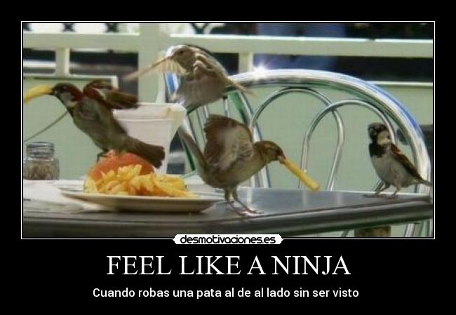 carteles feel like ninja ninja robar pata frita desmotivaciones