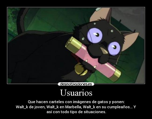 Usuarios -