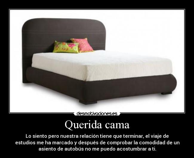 carteles cama autobus viaje estudios desmotivaciones