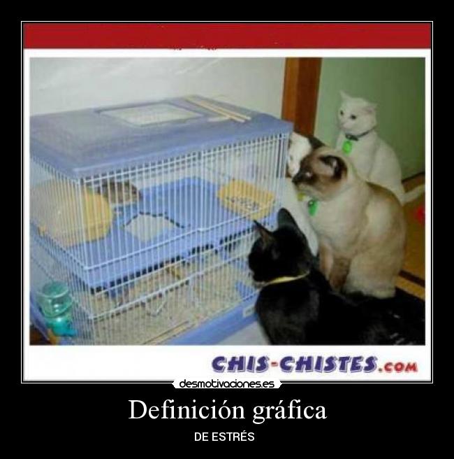 Definición gráfica -