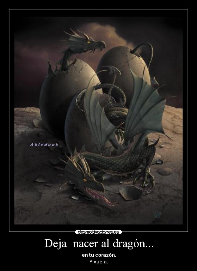 Deja  nacer al dragón... - 