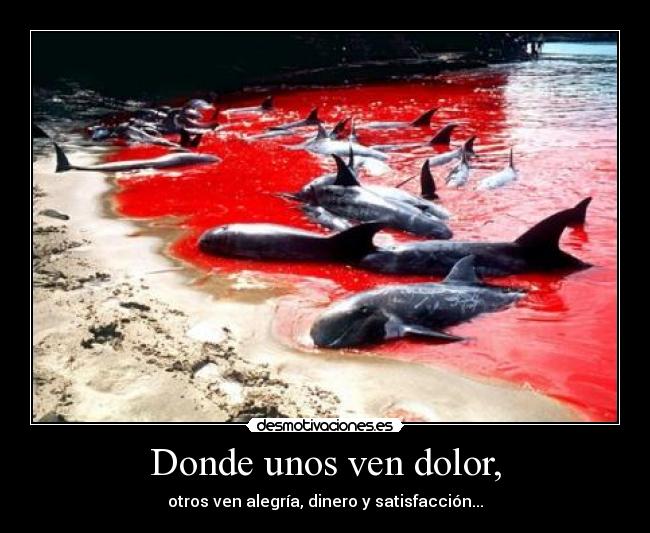 Donde unos ven dolor, - otros ven alegría, dinero y satisfacción...