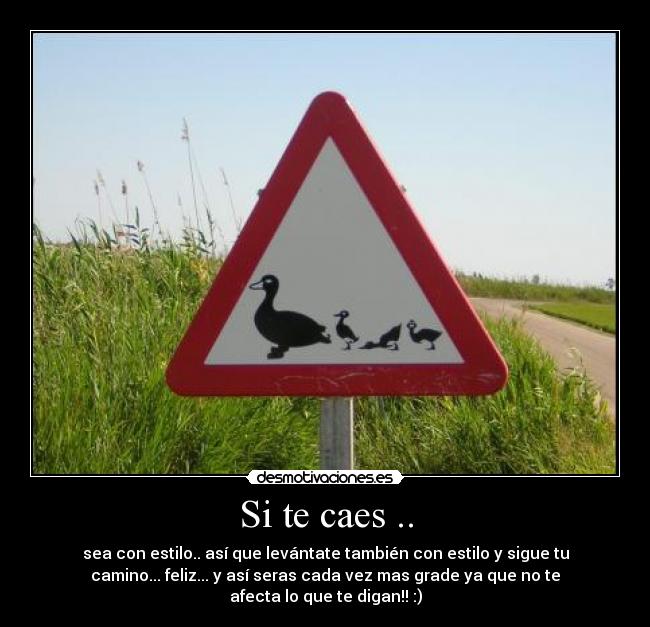 Si te caes .. - sea con estilo.. así que levántate también con estilo y sigue tu
camino... feliz... y así seras cada vez mas grade ya que no te
afecta lo que te digan!! :)