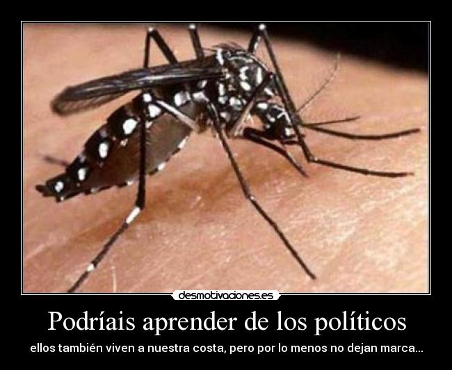 Podríais aprender de los políticos - ellos también viven a nuestra costa, pero por lo menos no dejan marca...