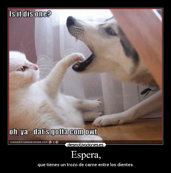 Espera, - que tienes un trozo de carne entre los dientes.