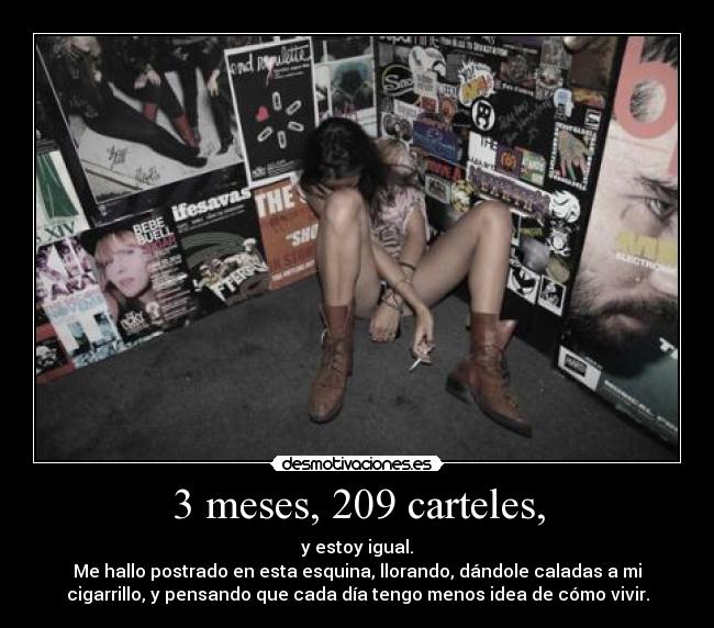 3 meses, 209 carteles, - 