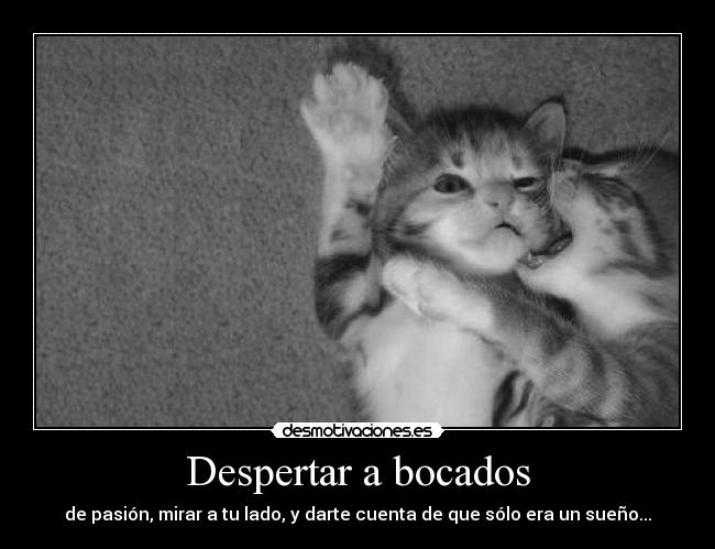 Despertar a bocados - de pasión, mirar a tu lado, y darte cuenta de que sólo era un sueño...