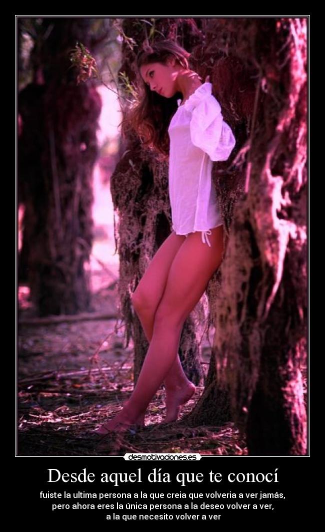 Desde aquel día que te conocí -