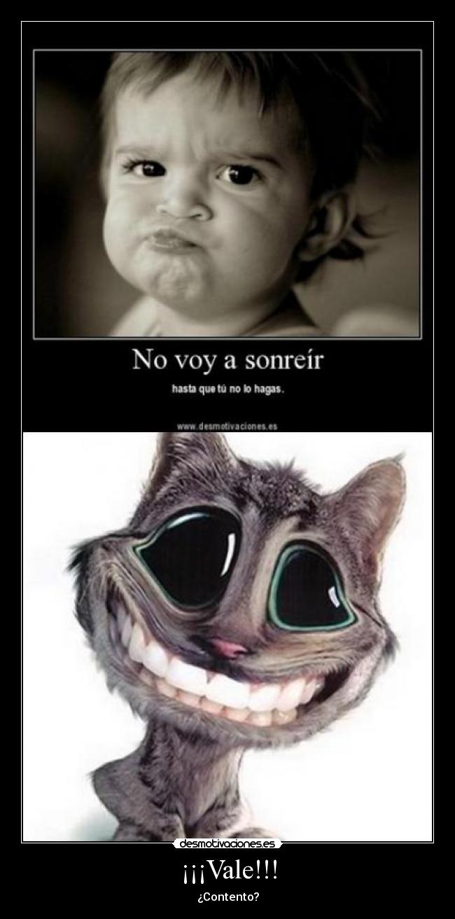 carteles vale contento etc pgf desmotivaciones