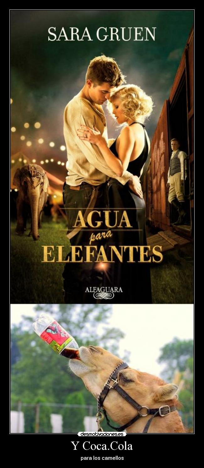 Y Coca.Cola - para los camellos