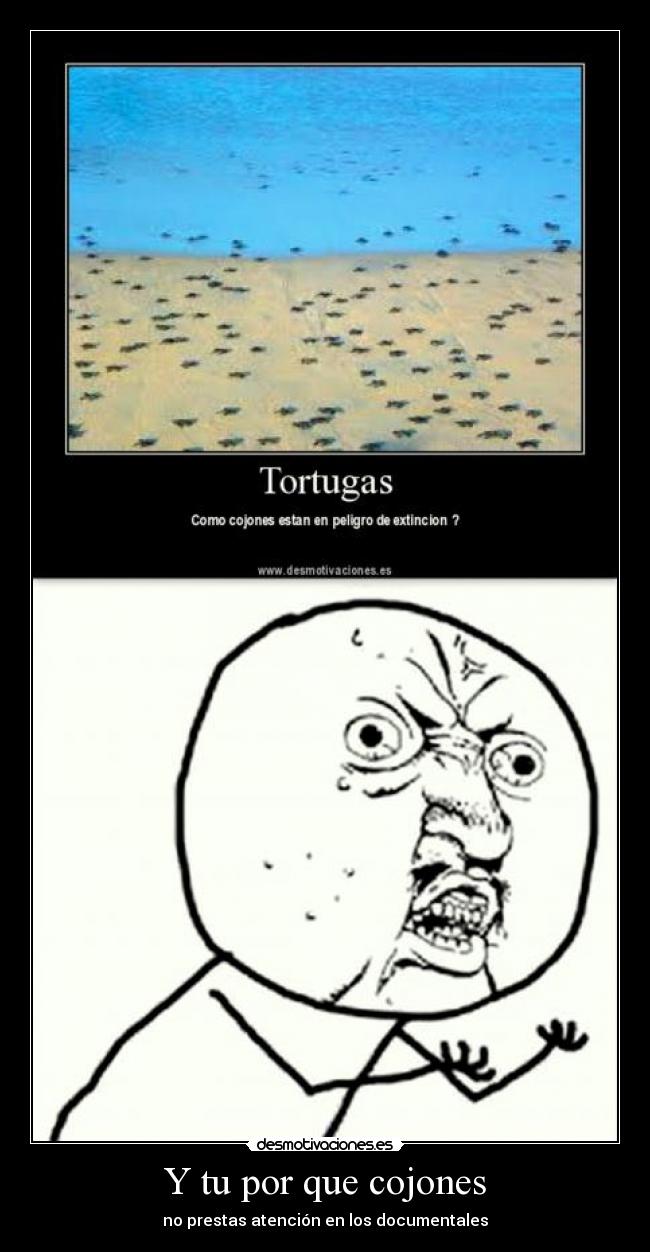 Y tu por que cojones - no prestas atención en los documentales