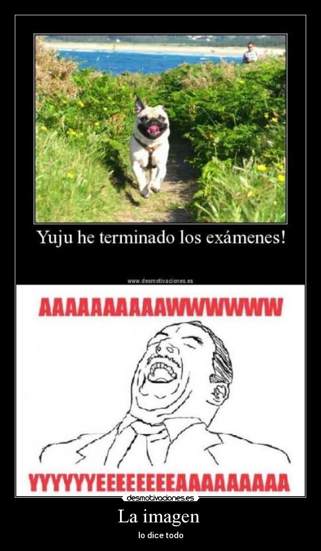 La imagen - lo dice todo