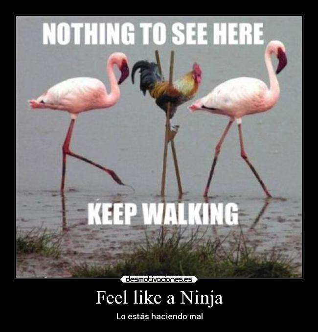 Feel like a Ninja - Lo estás haciendo mal