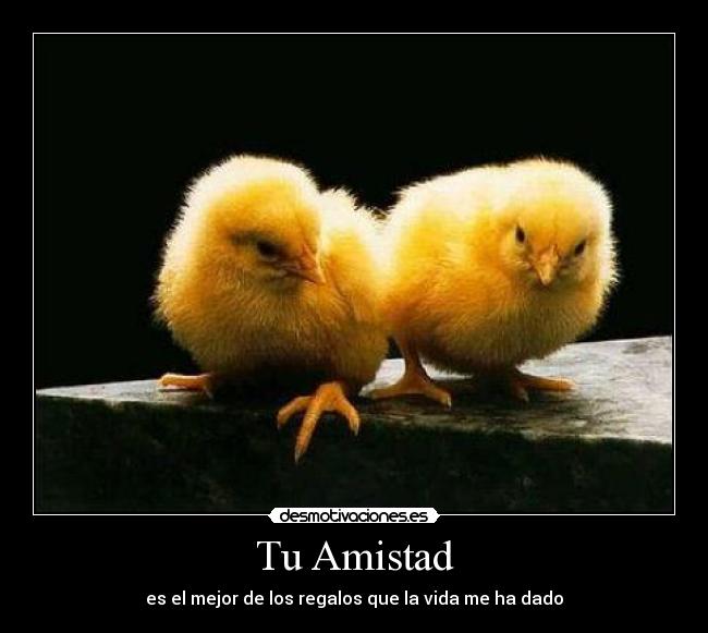 Tu Amistad - es el mejor de los regalos que la vida me ha dado