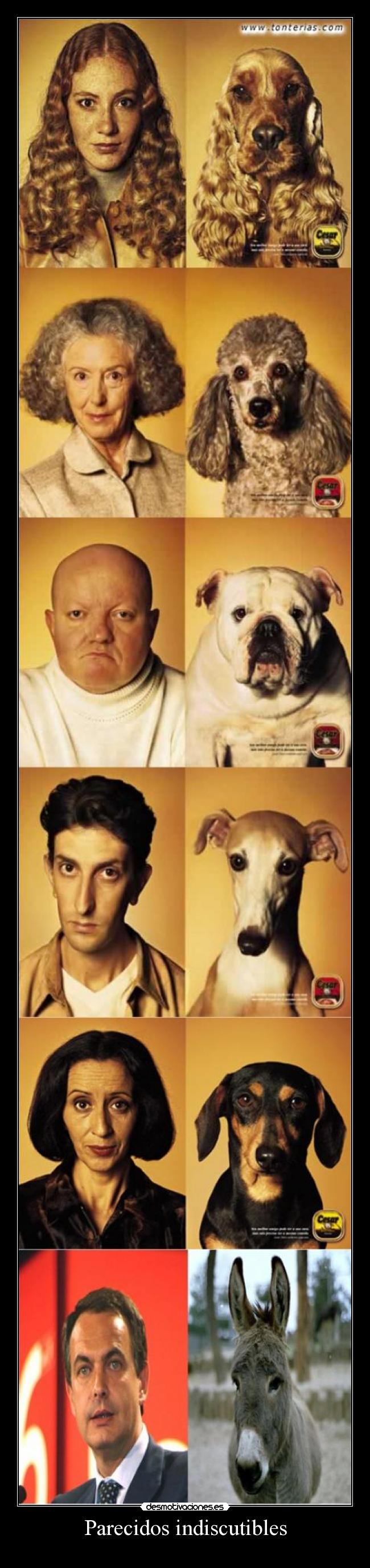 Parecidos indiscutibles -