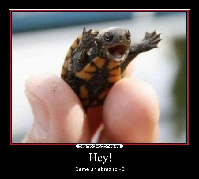 Hey! - Dame un abrazito =3