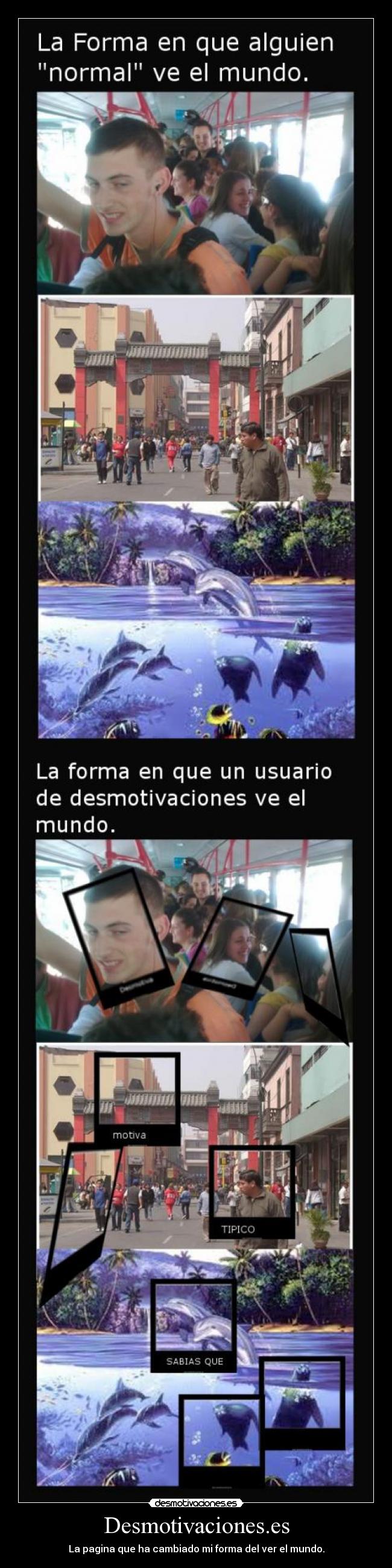 Desmotivaciones.es - La pagina que ha cambiado mi forma del ver el mundo.