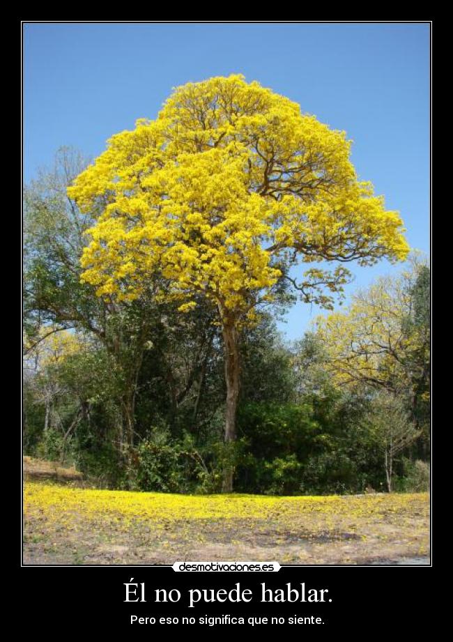 Él no puede hablar. - Pero eso no significa que no siente.