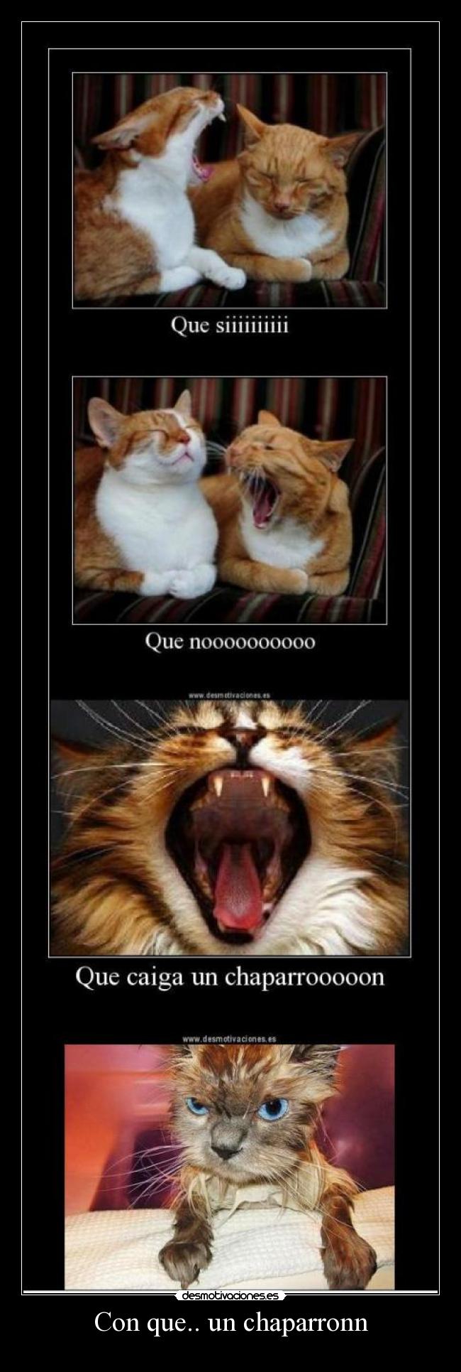 Con que.. un chaparronn - 