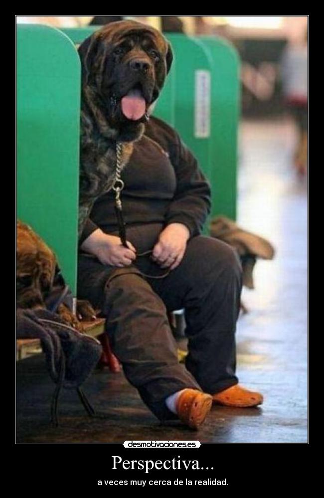 Perspectiva... - a veces muy cerca de la realidad.