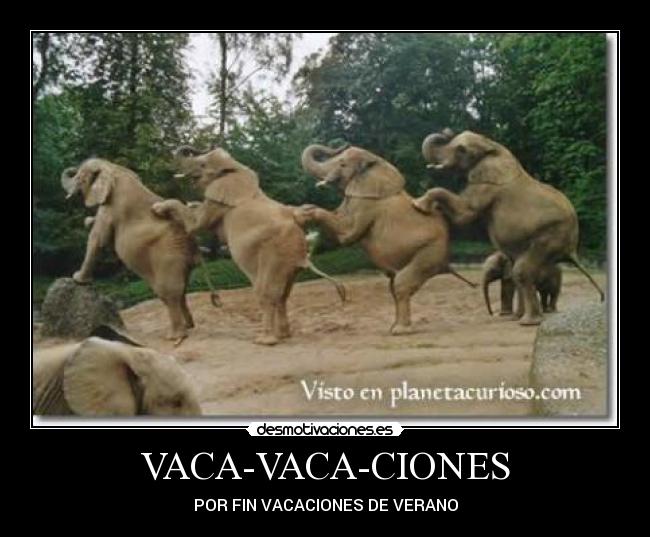 VACA-VACA-CIONES -