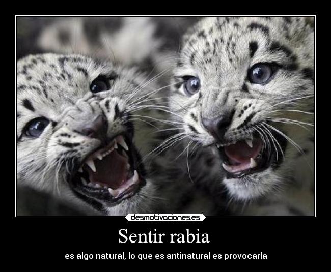 Sentir rabia -