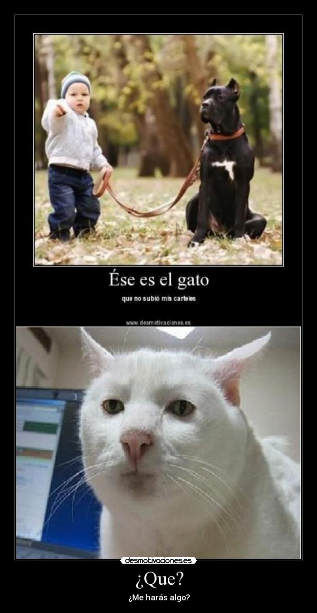 ¿Que? - ¿Me harás algo?