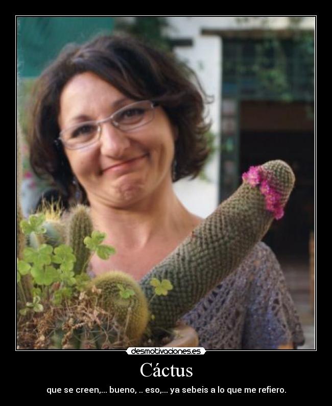Cáctus - 